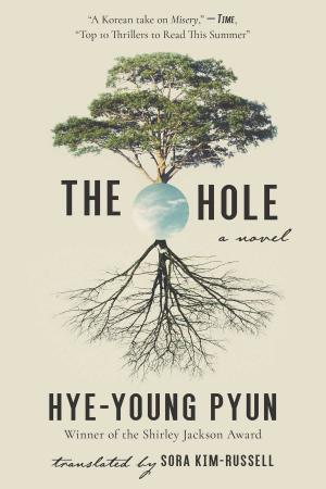 Cover of the book The Hole by Daniel B. Kline, Jason Tomaszewski