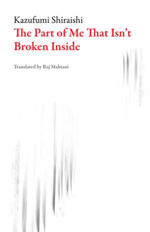 Cover of the book The Part of Me That Isn't Broken Inside by Drago Jancar