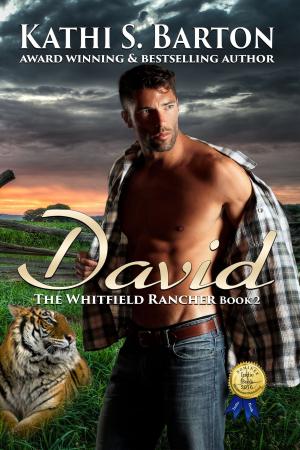 Cover of the book David by Kathi S Barton