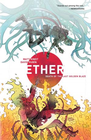 Book cover of Ether Volume 1: Death of the Last Golden Blaze