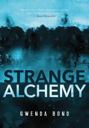Cover of the book Strange Alchemy by Steve Brezenoff