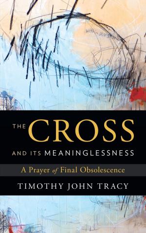 Cover of the book The Cross and its Meaninglessness by Kyle MacDonald