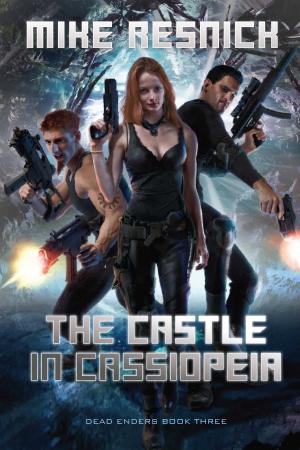 Cover of the book The Castle in Cassiopeia by Kij Johnson