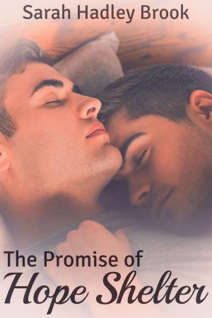 Cover of the book The Promise of Hope Shelter by R.W. Clinger