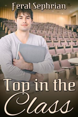 Cover of the book Top in the Class by J.D. Walker