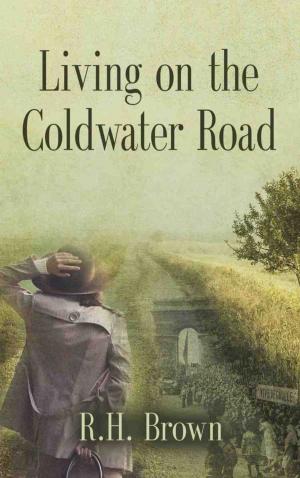 Cover of the book Living on the Coldwater Road by Stephen Guy Hardin