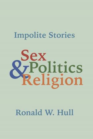 bigCover of the book Impolite Stories by 