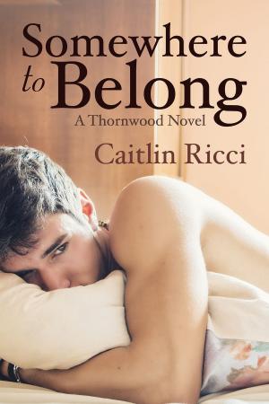 Cover of the book Somewhere to Belong by Rhys Ford