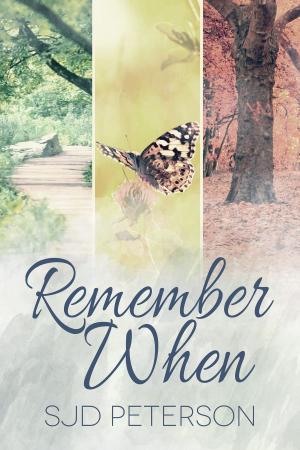 Book cover of Remember When