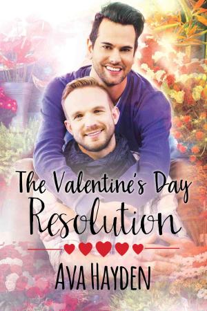 Cover of the book The Valentine's Day Resolution by AJ Mars
