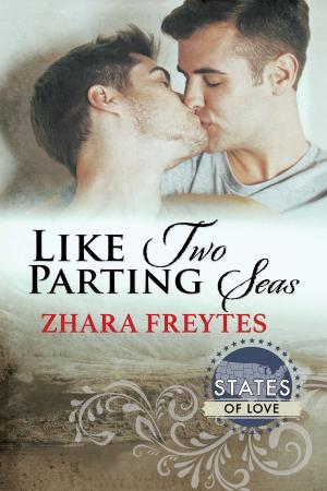 Cover of the book Like Two Parting Seas by BA Tortuga