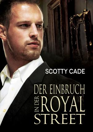 Cover of the book Der Einbruch in der Royal Street by J. Scott Coatsworth