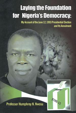 Cover of the book Laying the Foundation for Nigeria's Democracy by R. A. Daly