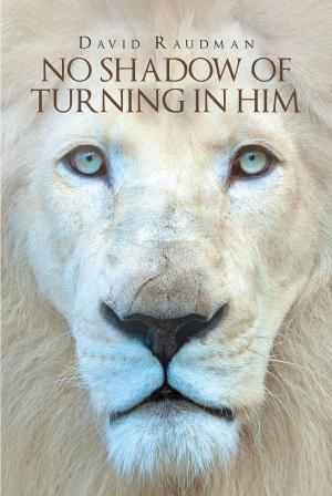 Cover of the book No Shadow of Turning In Him by Mary Corner