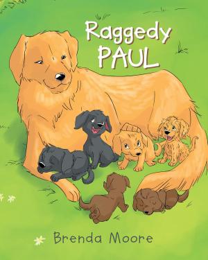 Cover of the book Raggedy Paul by Sandra Gauna