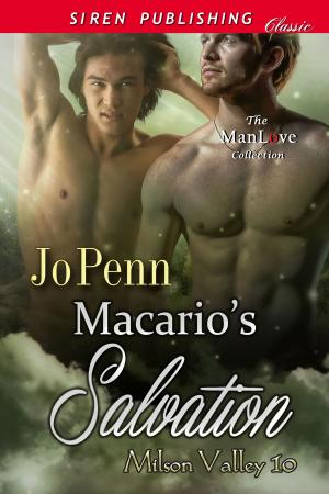Cover of the book Macario's Salvation by Marcy Jacks