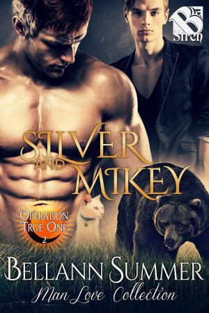 Cover of the book Silver and Mikey by Françoise  Simpère