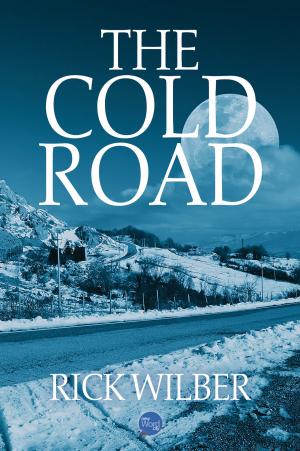 Cover of the book The Cold Road by Will Peters