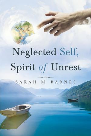 Cover of the book Neglected Self, Spirit of Unrest by Alan Santana