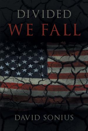 Cover of the book Divided We Fall by Amber McDonald