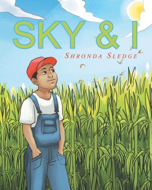 Cover of the book Sky & I by Linda S. Locke, PhD.