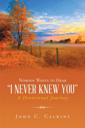 Cover of the book Nobody Wants To Hear I Never Knew You by Pascal LaFauci