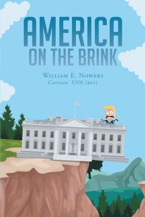Cover of the book America On The Brink by Helen R. Davis