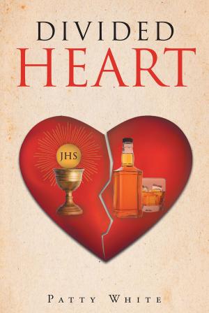 Cover of the book Divided Heart by Ginger Scarborough