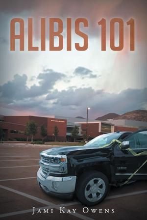 Cover of the book Alibis 101 by Jessica Linhart