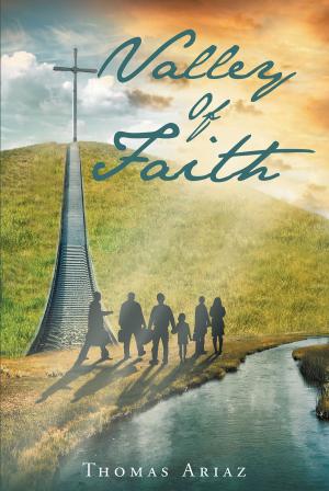 Cover of the book Valley Of Faith by Erica Dykes