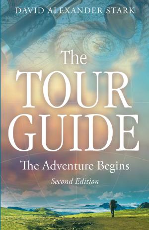 Book cover of The Tour Guide
