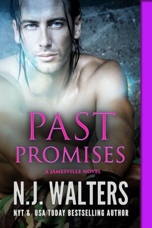 Cover of the book Past Promises by Amber Joi Scott