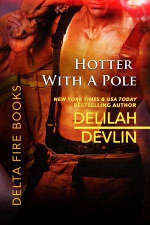Cover of the book Hotter with a Pole by Amber Lin