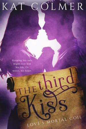 Cover of the book The Third Kiss by Katie Delahanty