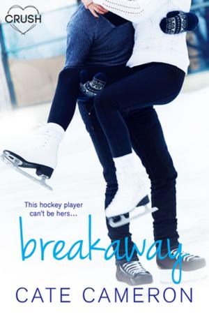Cover of the book Breakaway by Jenna Bayley-Burke