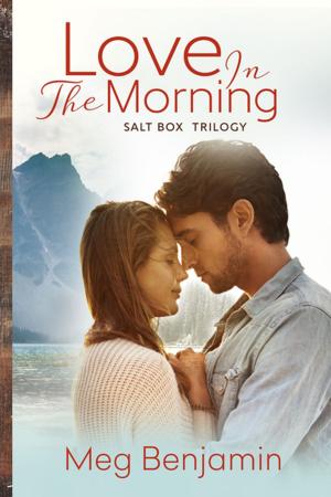 Cover of the book Love in the Morning by Amalie Howard