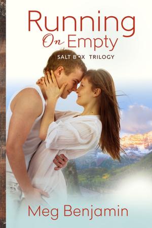 Cover of the book Running On Empty by Sheryl Nantus