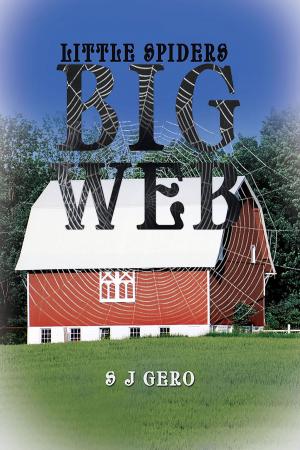 Cover of the book Little Spiders Big Web by David J. Fogarty