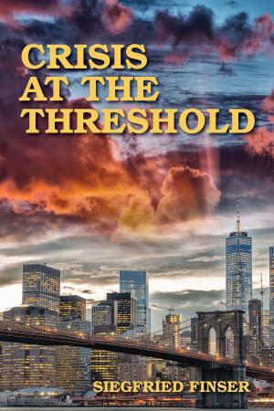 Cover of the book Crisis at the Threshold by Robert Perkins