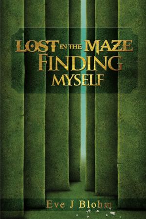 Cover of the book Lost in the Maze Finding Myself by Toni Jones Tucker