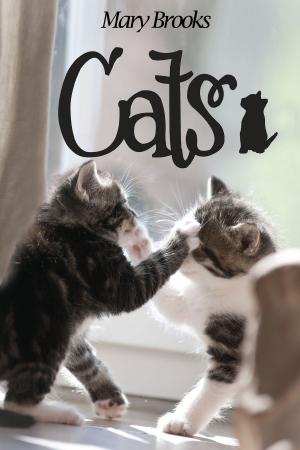 Cover of the book Cats by Jamel Gross