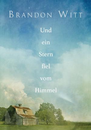 Cover of the book Und ein Stern fiel vom Himmel by Ann Anderson