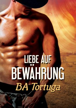 Cover of the book Liebe auf Bewährung by Patricia Correll