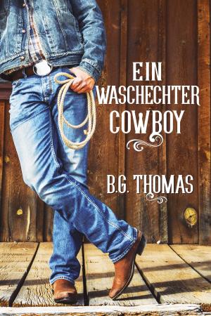 Cover of the book Ein waschechter Cowboy by J.S. Cook