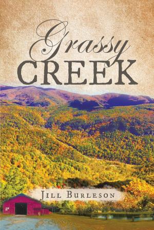 Cover of the book Grassy Creek by Chris Ericson