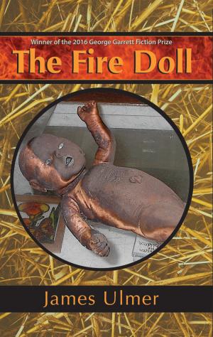 Cover of the book The Fire Doll by S. P. Areham