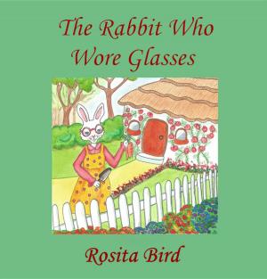 Cover of the book The Rabbit Who Wore Glasses by Cynthia MacGregor