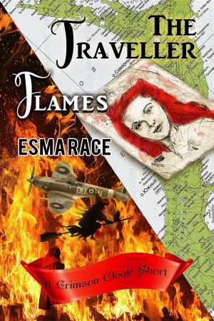 Cover of the book The Traveller, and Flames by Salena Anderson Fowler