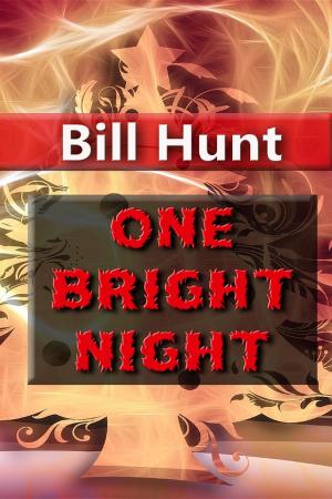Cover of the book One Bright Night by Michael Evanichko