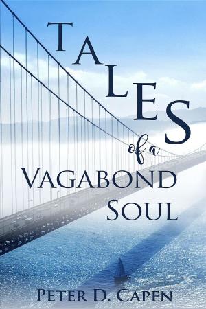 Cover of the book Tales of a Vagabond Soul by Ayesha Marfani